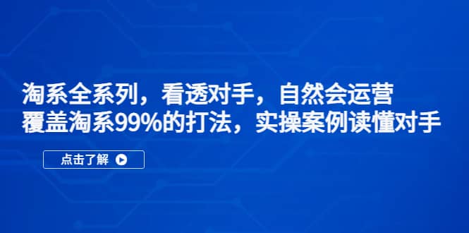 淘系全系列，看透对手，自然会运营，覆盖淘系99%·打法，实操案例读懂对手 - 晨鑫项目库-晨鑫项目库