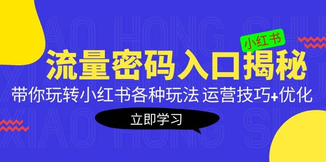 小红书流量密码入口揭秘：带你玩转小红书各种玩法 运营技巧+优化 - 晨鑫项目库-晨鑫项目库