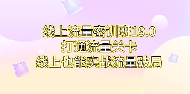 线上流量密训班19.0，打通流量关卡，线上也能实战流量破局 - 晨鑫项目库-晨鑫项目库