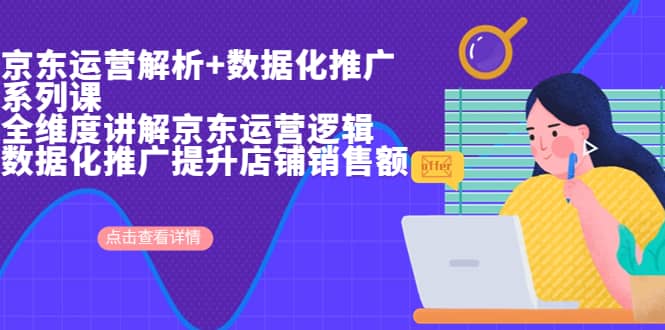 京东运营解析与数据化推广系列课，全维度讲解京东运营逻辑+数据化推广提升店铺销售额 - 晨鑫项目库-晨鑫项目库