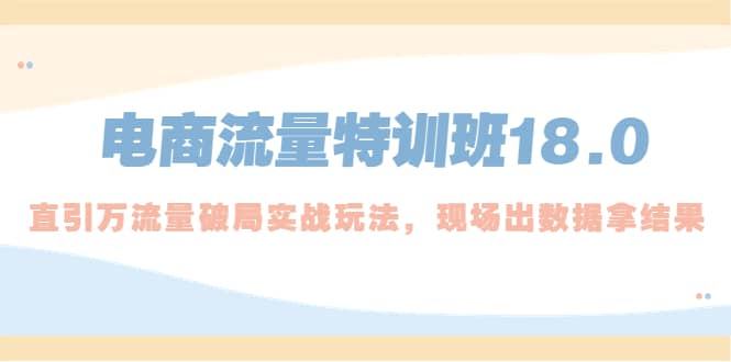 电商流量特训班18.0，直引万流量破局实操玩法，现场出数据拿结果 - 晨鑫项目库-晨鑫项目库