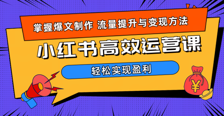价值980小红书运营操作指南 - 晨鑫项目库-晨鑫项目库