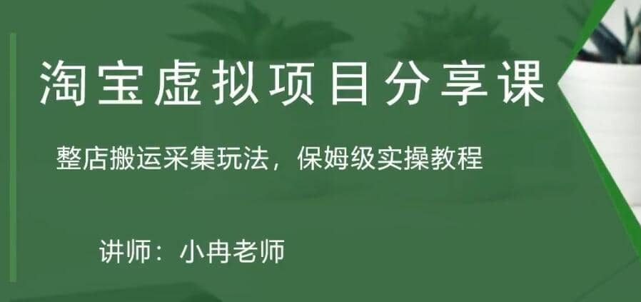 淘宝虚拟整店搬运采集玩法分享课：整店搬运采集玩法，保姆级实操教程 - 晨鑫项目库-晨鑫项目库
