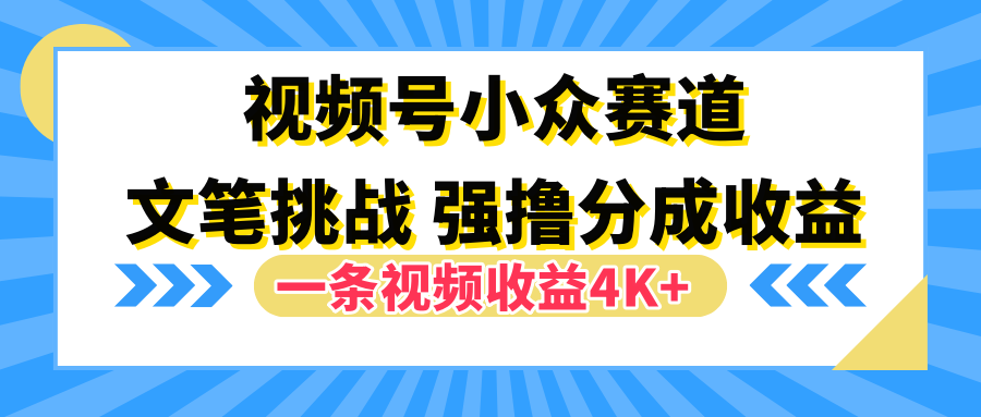 视频号小众赛道，文笔挑战，一条视频收益4K+ - 晨鑫项目库-晨鑫项目库