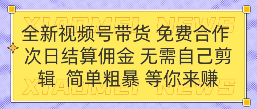 全新视频号 免费合作 佣金次日结算 无需自己剪辑 - 晨鑫项目库-晨鑫项目库