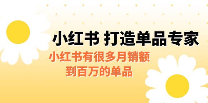 某公众号付费文章《小红书 打造单品专家》小红书有很多月销额到百万的单品 - 晨鑫项目库-晨鑫项目库