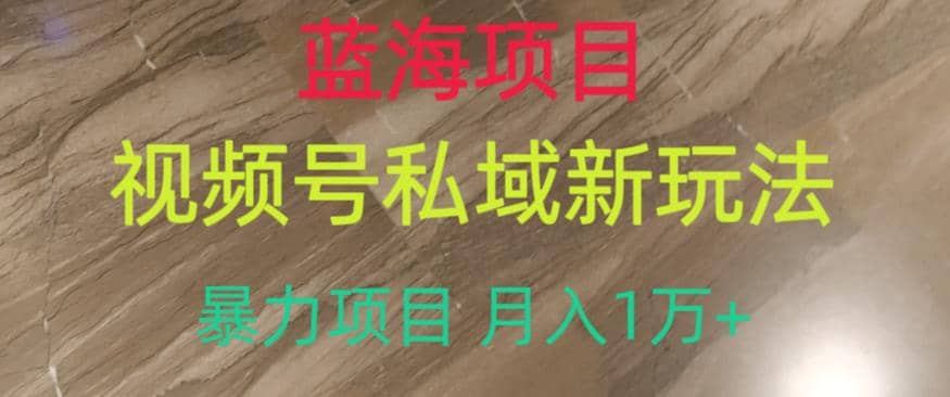 蓝海项目，视频号私域新玩法，暴力项目月入1万+【揭秘】 - 晨鑫项目库-晨鑫项目库