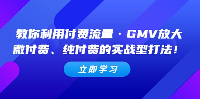 教你利用付费流量·GMV放大，微付费、纯付费的实战型打法 - 晨鑫项目库-晨鑫项目库