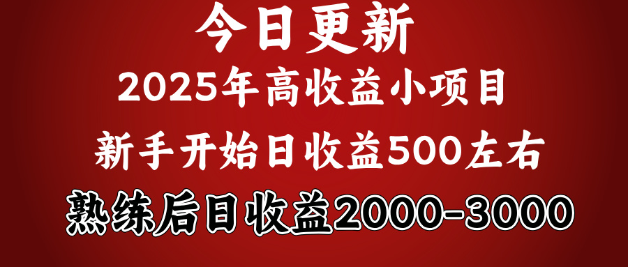 2025开年好项目，新手日收益500+ 熟练掌握后，日收益平均2000多 - 晨鑫项目库-晨鑫项目库
