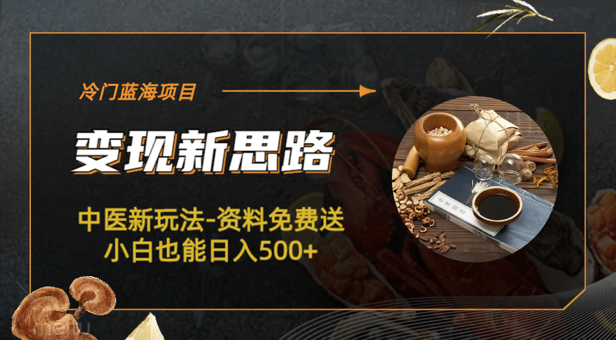 冷门蓝海项目-中医新玩法-冷门蓝海项目-中医新玩法-资料免费送小白也能日入500+500+ - 晨鑫项目库-晨鑫项目库