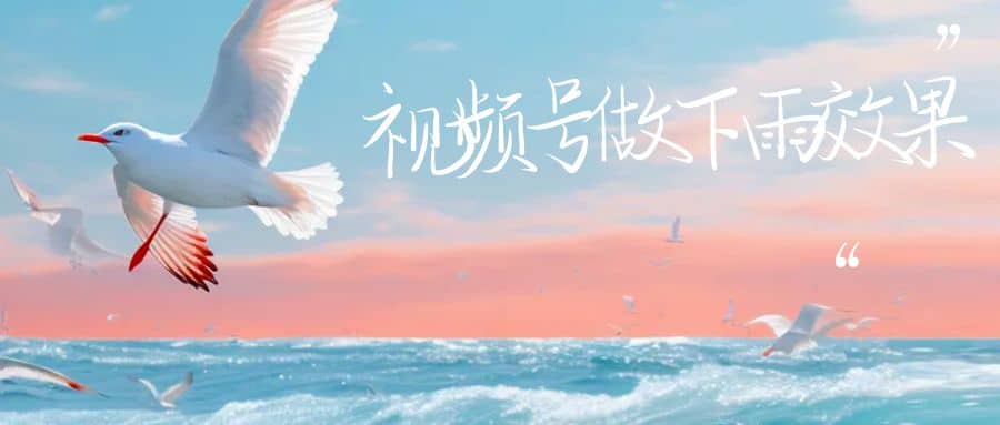 视频号做下雨视频一个账号一周涨粉10W+年入100w - 晨鑫项目库-晨鑫项目库
