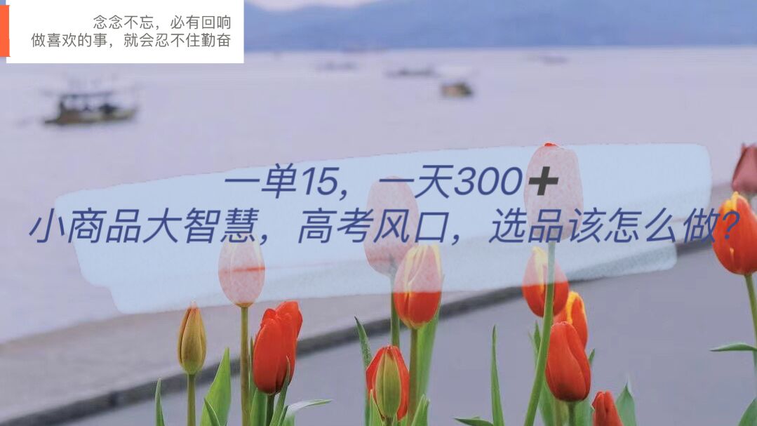 一单15，一天300+，小商品大智慧，高考风口，选品该怎么布局 - 晨鑫项目库-晨鑫项目库