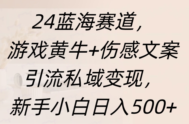 24蓝海赛道，游戏黄牛+伤感文案引流私域变现，新手日入500+ - 晨鑫项目库-晨鑫项目库