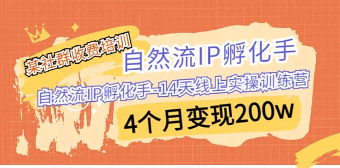某社群收费培训：自然流IP 孵化手-14天线上实操训练营 4个月变现200w - 晨鑫项目库-晨鑫项目库