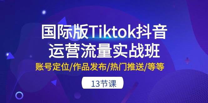 国际版Tiktok抖音运营流量实战班：账号定位/作品发布/热门推送/等等-13节 - 晨鑫项目库-晨鑫项目库