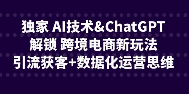 独家 AI技术ChatGPT解锁 跨境电商新玩法，引流获客+数据化运营思维 - 晨鑫项目库-晨鑫项目库
