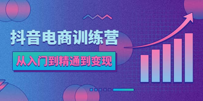 抖音电商训练营：从入门到精通，从账号定位到流量变现，抖店运营实操 - 晨鑫项目库-晨鑫项目库