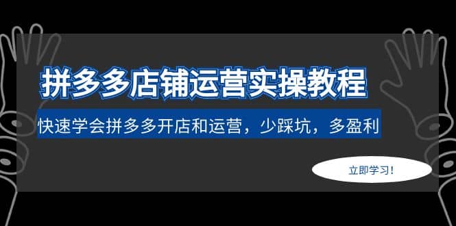 拼多多店铺运营实操教程：快速学会拼多多开店和运营，少踩坑，多盈利 - 晨鑫项目库-晨鑫项目库