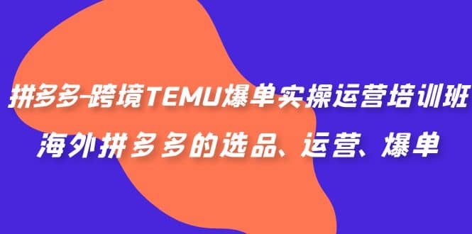 拼多多-跨境TEMU爆单实操运营培训班，海外拼多多的选品、运营、爆单 - 晨鑫项目库-晨鑫项目库