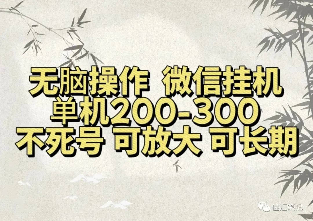 无脑操作微信视频号挂机单机200-300一天，不死号，可放大，工作室实测 - 晨鑫项目库-晨鑫项目库
