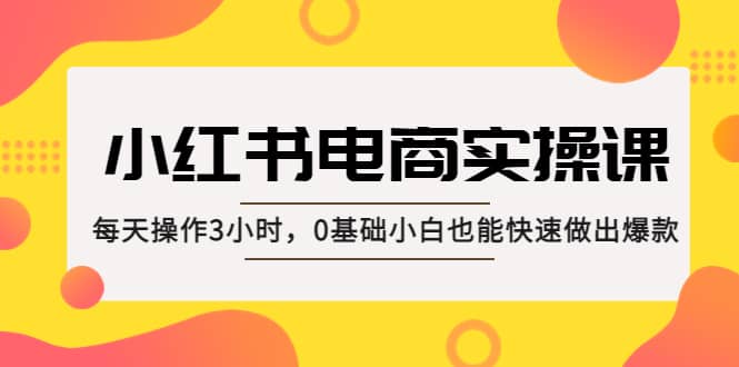 小红书·电商实操课：每天操作3小时，0基础小白也能快速做出爆款 - 晨鑫项目库-晨鑫项目库
