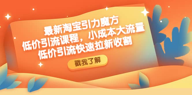 最新淘宝引力魔方低价引流实操：小成本大流量 - 晨鑫项目库-晨鑫项目库