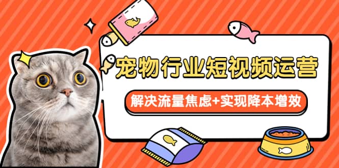 宠物/行业短视频运营 流量增长的一层窗户纸 解决流量焦虑+实现降本增效 - 晨鑫项目库-晨鑫项目库