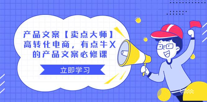 产品文案【卖点大师】高转化电商，有点牛X的 产品文案必修课 - 晨鑫项目库-晨鑫项目库