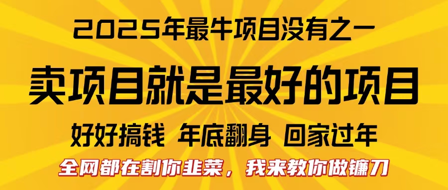 全网都在割你韭菜，我来教你做镰刀。卖项目就是最好的项目，2025年最牛互联网项目 - 晨鑫项目库-晨鑫项目库