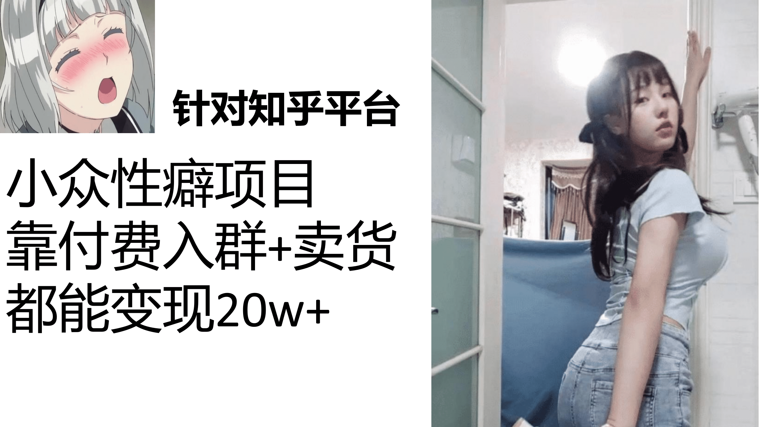 知乎小众性癖项目，Lsp的钱才是最好赚的，付费建群+卖货变现20w - 晨鑫项目库-晨鑫项目库