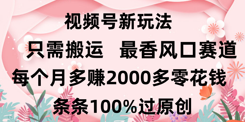 日入2000+，条条100%过原创，视频号最香风口赛道，小白轻松上手 - 晨鑫项目库-晨鑫项目库