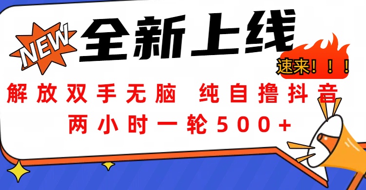解放双手无脑 纯自撸抖音 两小时一轮500+ - 晨鑫项目库-晨鑫项目库