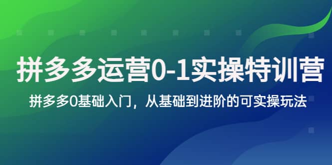 拼多多-运营0-1实操训练营，拼多多0基础入门，从基础到进阶的可实操玩法 - 晨鑫项目库-晨鑫项目库