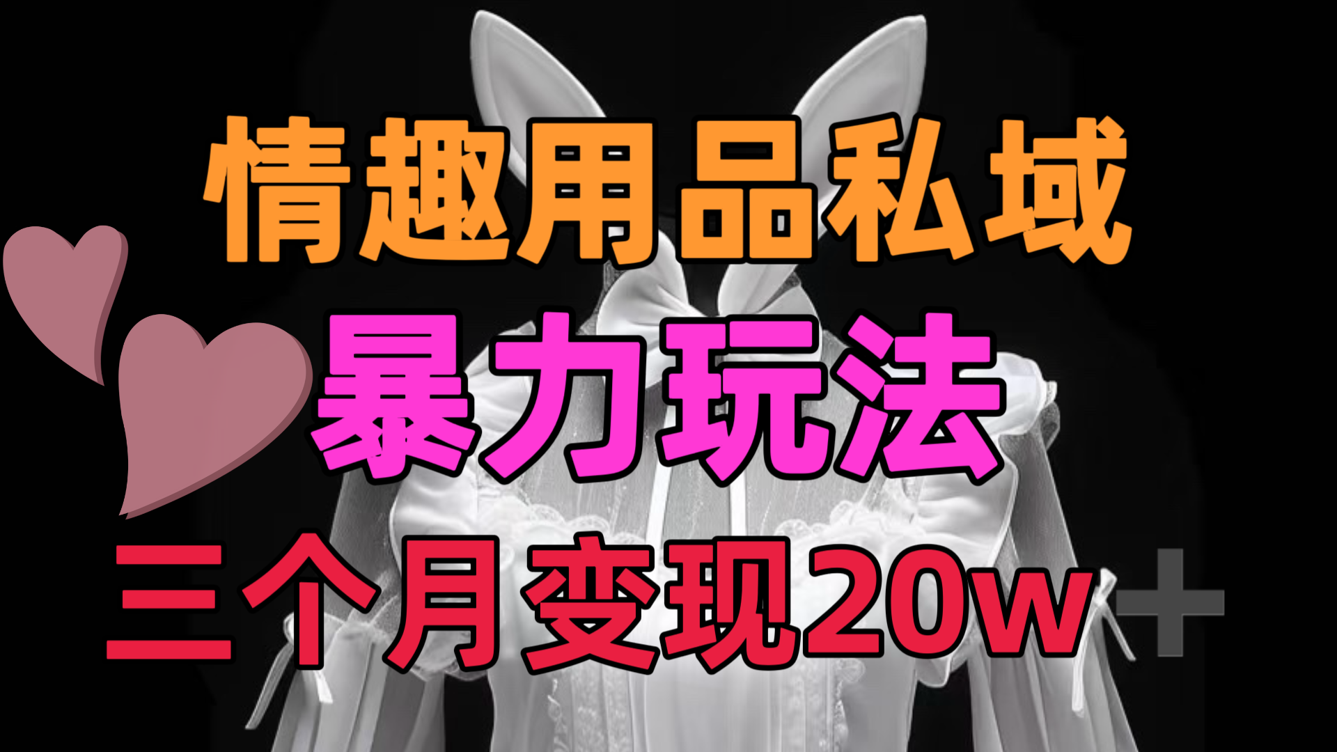 情趣用品私域，25年最新暴力玩法，三个月变现20w➕ - 晨鑫项目库-晨鑫项目库