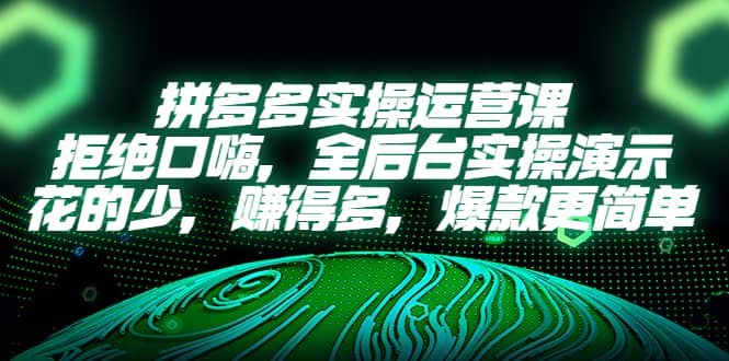 拼多多实操运营课：拒绝口嗨，全后台实操演示，花的少，赚得多，爆款更简单 - 晨鑫项目库-晨鑫项目库