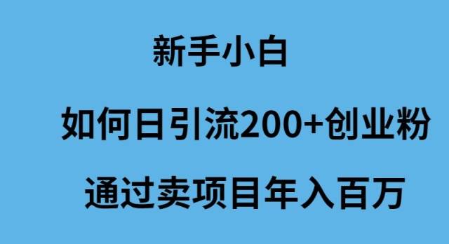 新手小白如何日引流200+创业粉通过卖项目年入百万 - 晨鑫项目库-晨鑫项目库