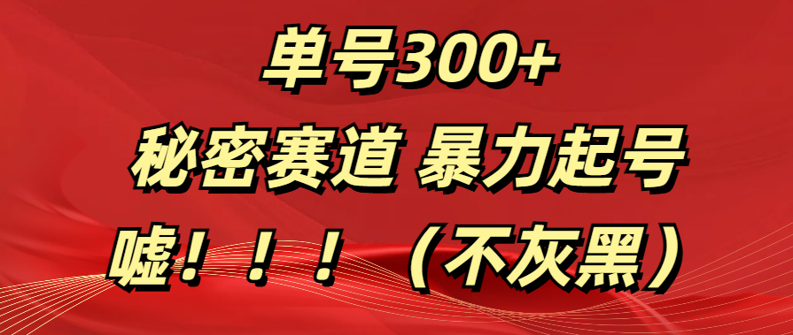 单号300+ 秘密赛道 暴力起号 （不灰黑） - 晨鑫项目库-晨鑫项目库