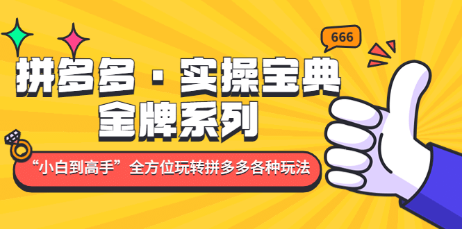 拼多多·实操宝典：金牌系列“小白到高手”带你全方位玩转拼多多各种玩法 - 晨鑫项目库-晨鑫项目库