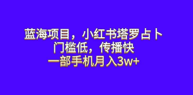蓝海项目，小红书塔罗占卜，门槛低，传播快，一部手机月入3w+ - 晨鑫项目库-晨鑫项目库