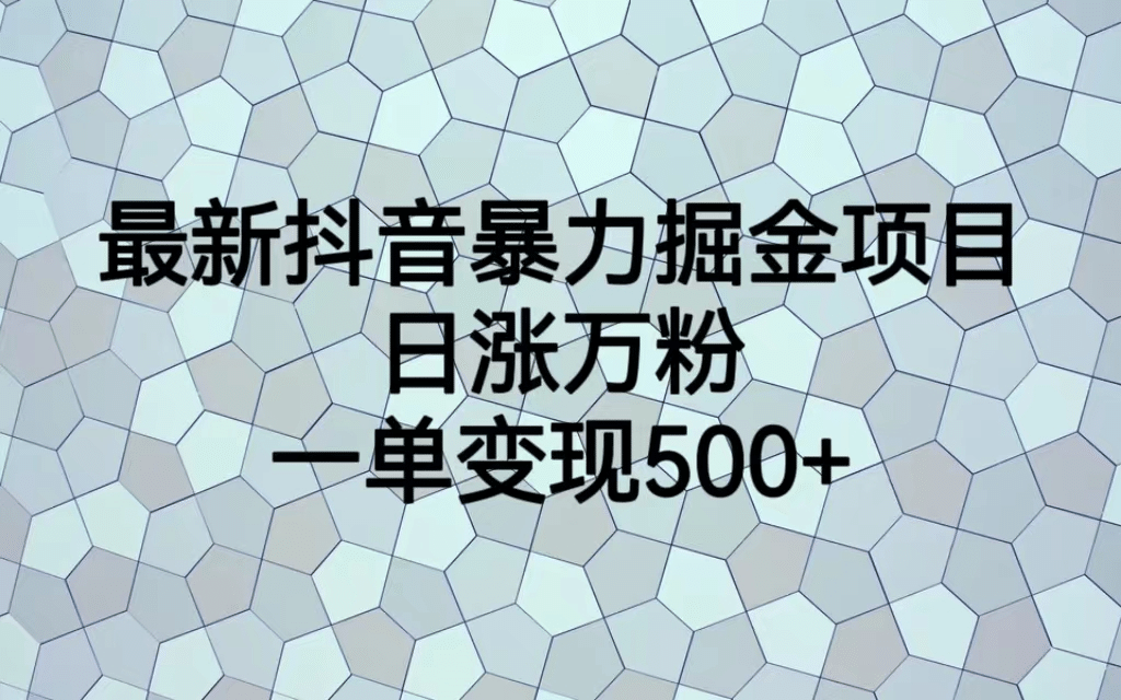 最火热的抖音暴力掘金项目，日涨万粉，多种变现方式，一单变现可达500+ - 晨鑫项目库-晨鑫项目库