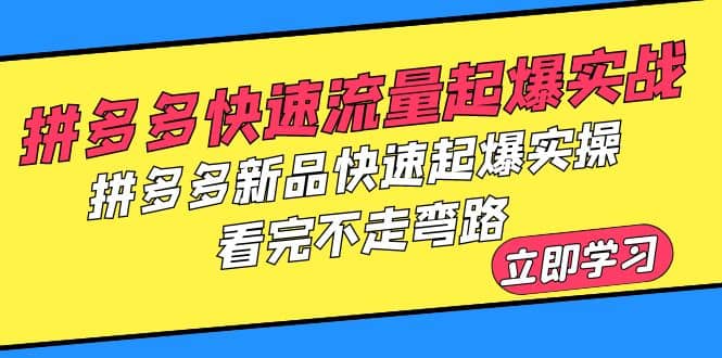 拼多多-快速流量起爆实战，拼多多新品快速起爆实操，看完不走弯路 - 晨鑫项目库-晨鑫项目库