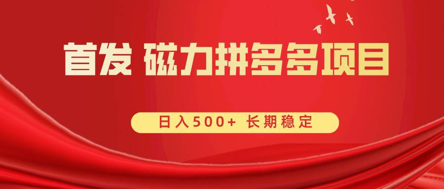 首发 磁力拼多多自撸 日入500+ - 晨鑫项目库-晨鑫项目库