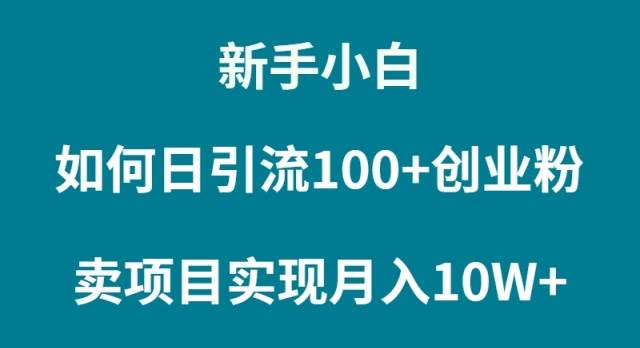 新手小白如何通过卖项目实现月入10W+ - 晨鑫项目库-晨鑫项目库