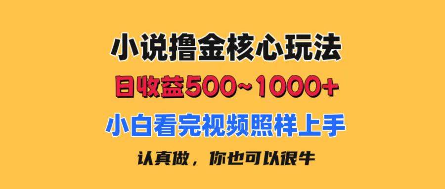 小说撸金核心玩法，日收益500-1000+，小白看完照样上手，0成本有手就行 - 晨鑫项目库-晨鑫项目库
