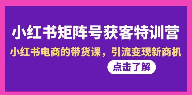小红书-矩阵号获客特训营-第10期，小红书电商的带货课，引流变现新商机 - 晨鑫项目库-晨鑫项目库