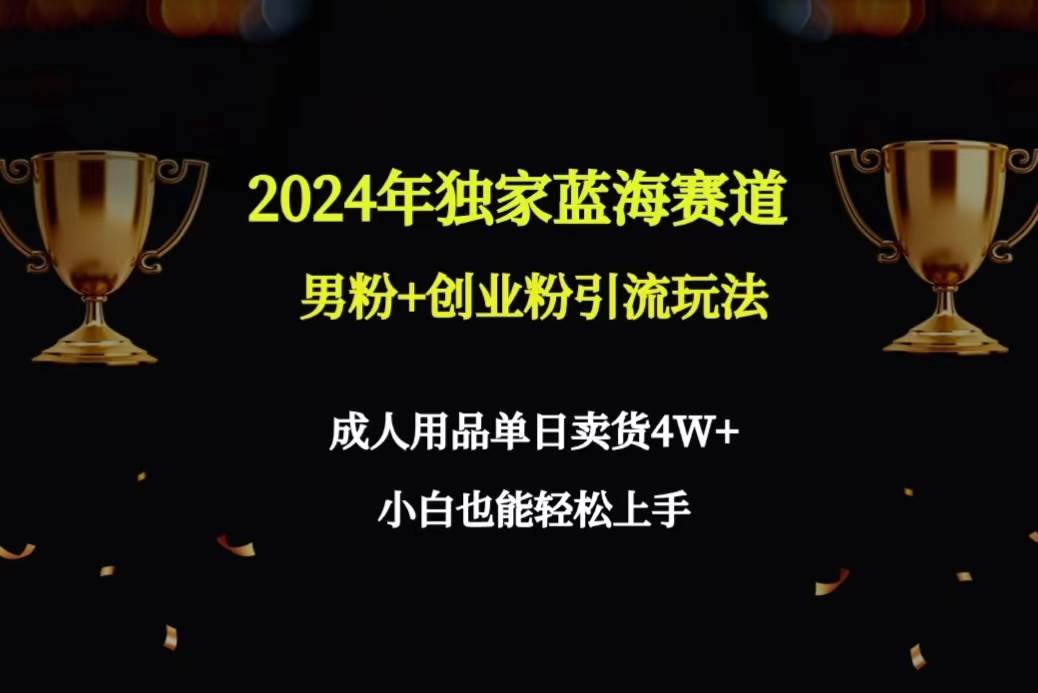 2024年独家蓝海赛道男粉+创业粉引流玩法，成人用品单日卖货4W+保姆教程 - 晨鑫项目库-晨鑫项目库
