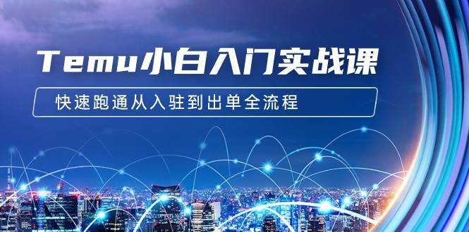 Temu小白入门实战课：跨境拼多多电商培训 快速跑通从入驻到出单全流程-12节 - 晨鑫项目库-晨鑫项目库