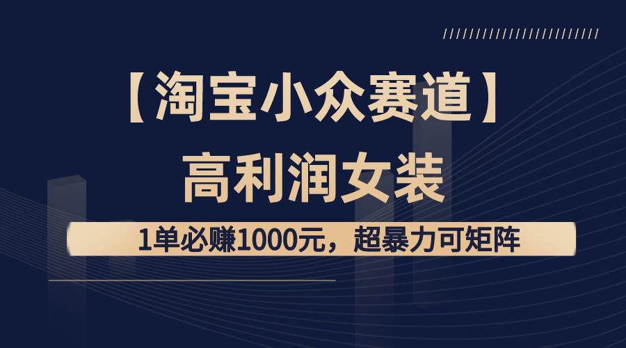 【淘宝小众赛道】高利润女装：1单必赚1000元，超暴力可矩阵 - 晨鑫项目库-晨鑫项目库