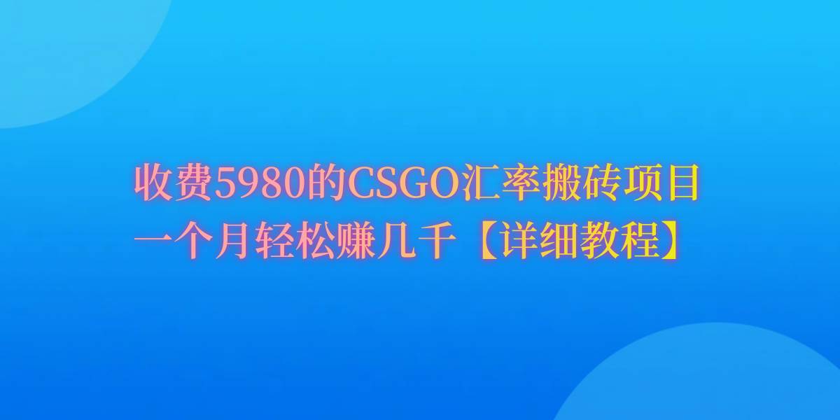CSGO装备搬砖，月综合收益率高达60%，你也可以！ - 晨鑫项目库-晨鑫项目库