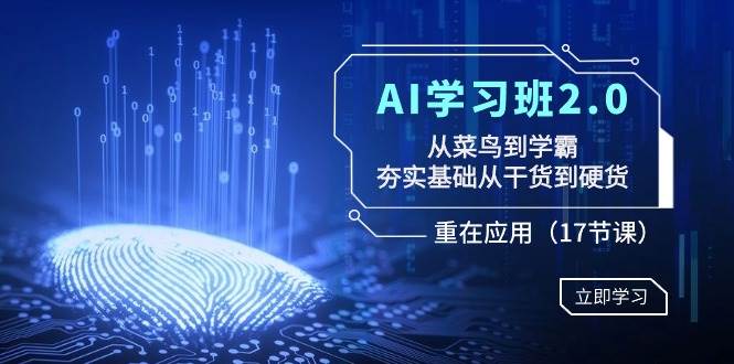 AI学习班2.0：从菜鸟到学霸，夯实基础从干货到硬货，重在应用（17节课） - 晨鑫项目库-晨鑫项目库